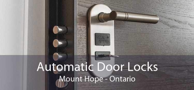 Automatic Door Locks Mount Hope - Ontario