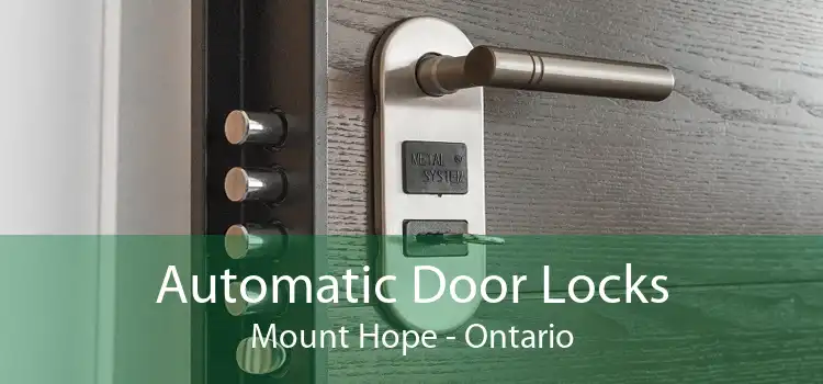 Automatic Door Locks Mount Hope - Ontario
