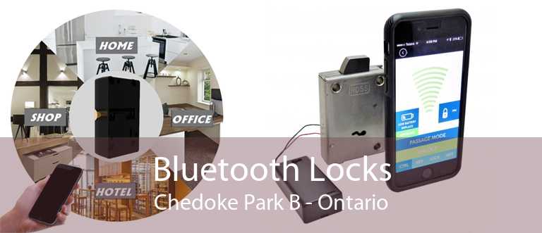 Bluetooth Locks Chedoke Park B - Ontario