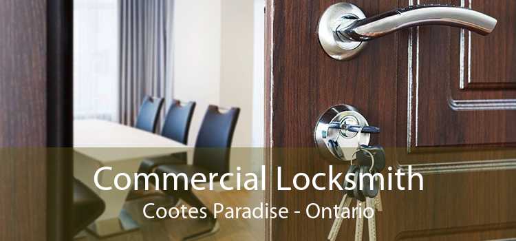 Commercial Locksmith Cootes Paradise - Ontario