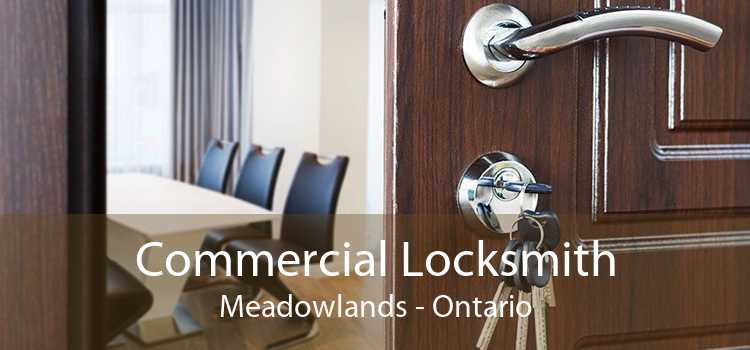 Commercial Locksmith Meadowlands - Ontario