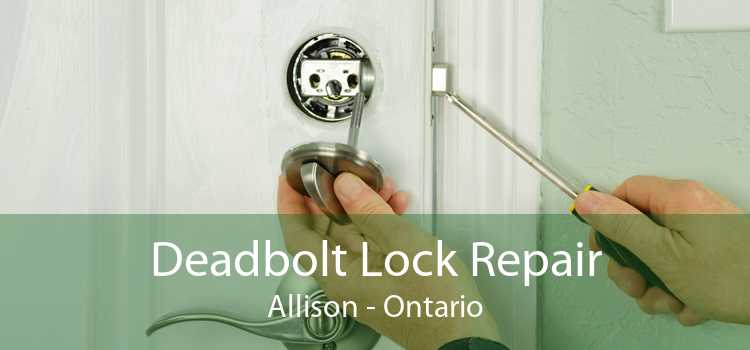Deadbolt Lock Repair Allison - Ontario