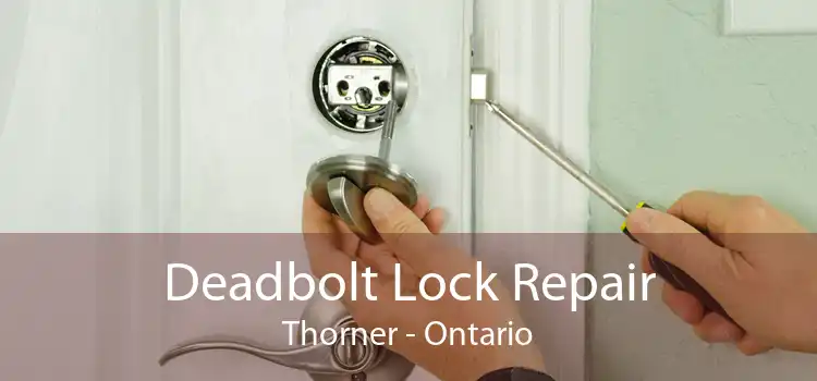 Deadbolt Lock Repair Thorner - Ontario