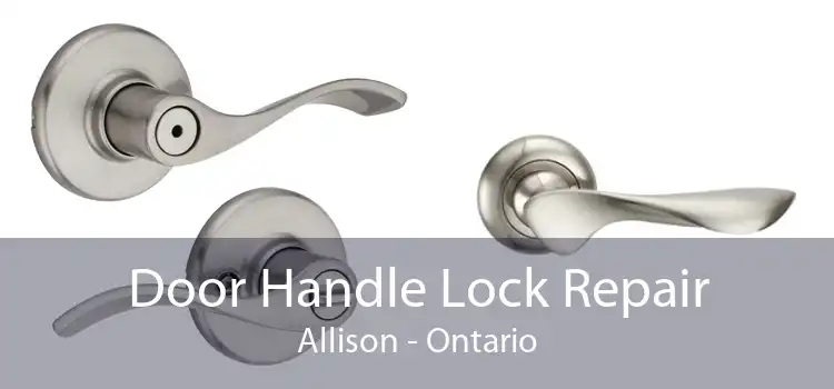 Door Handle Lock Repair Allison - Ontario