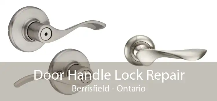 Door Handle Lock Repair Berrisfield - Ontario