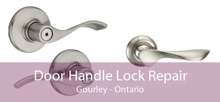 Door Handle Lock Repair Gourley - Ontario