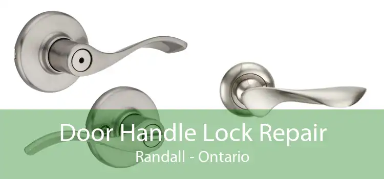 Door Handle Lock Repair Randall - Ontario
