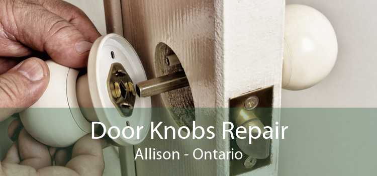 Door Knobs Repair Allison - Ontario
