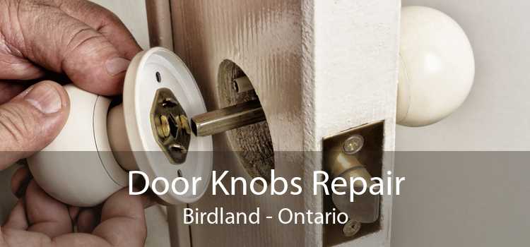 Door Knobs Repair Birdland - Ontario