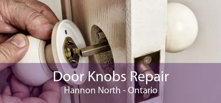 Door Knobs Repair Hannon North - Ontario
