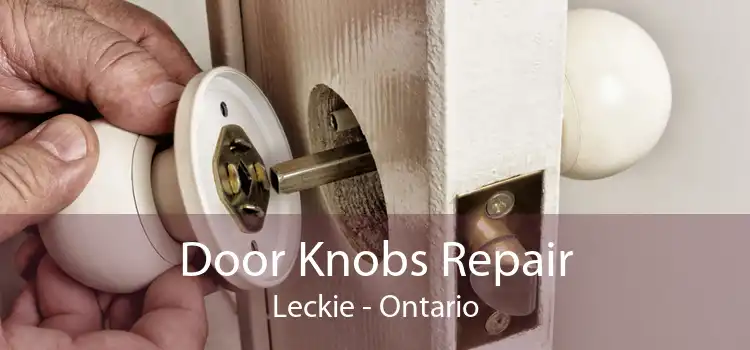 Door Knobs Repair Leckie - Ontario
