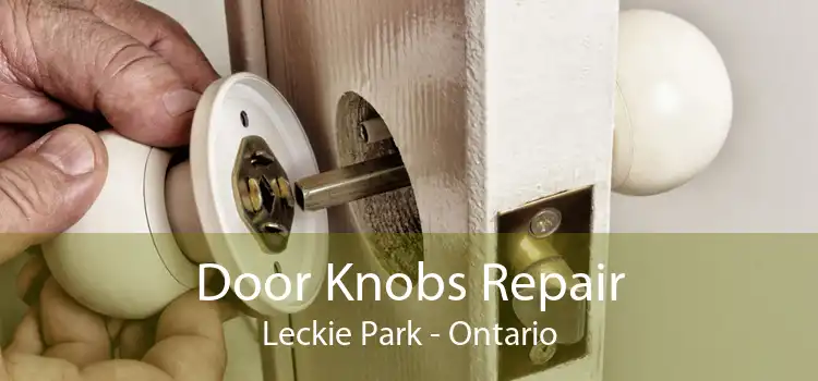 Door Knobs Repair Leckie Park - Ontario