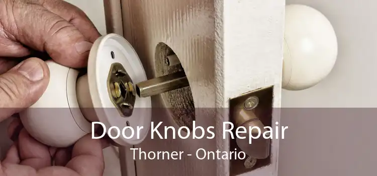 Door Knobs Repair Thorner - Ontario