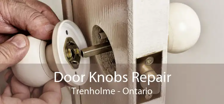 Door Knobs Repair Trenholme - Ontario