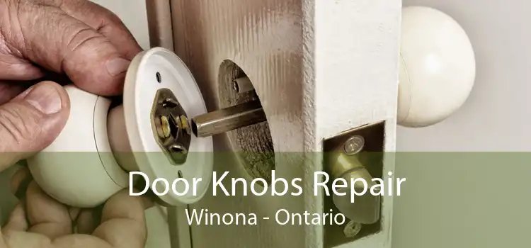 Door Knobs Repair Winona - Ontario