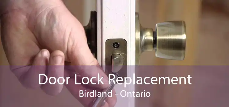 Door Lock Replacement Birdland - Ontario