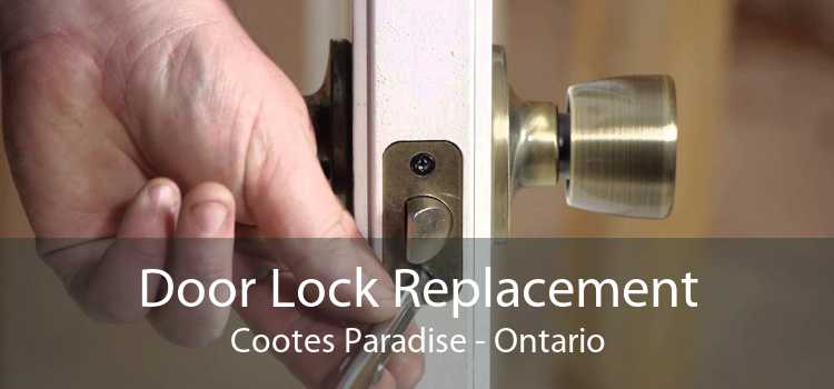 Door Lock Replacement Cootes Paradise - Ontario