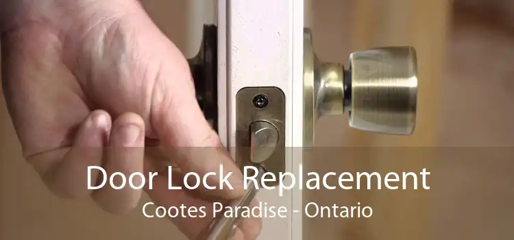 Door Lock Replacement Cootes Paradise - Ontario