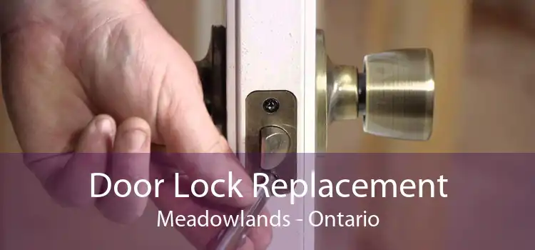 Door Lock Replacement Meadowlands - Ontario