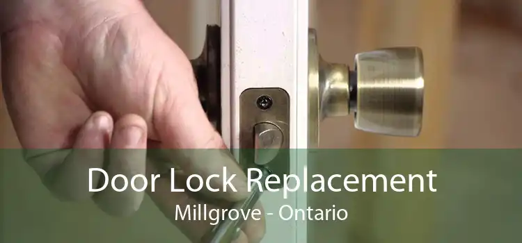 Door Lock Replacement Millgrove - Ontario