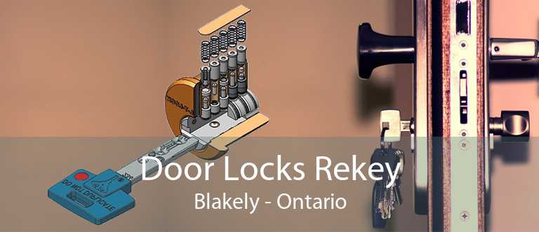 Door Locks Rekey Blakely - Ontario