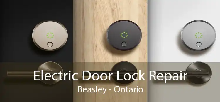 Electric Door Lock Repair Beasley - Ontario
