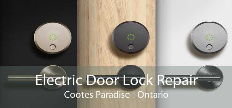 Electric Door Lock Repair Cootes Paradise - Ontario