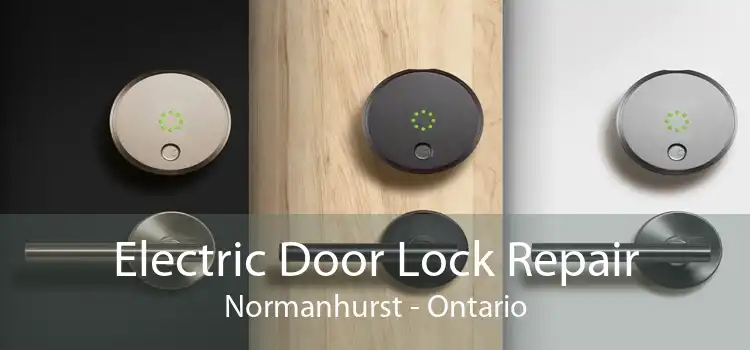 Electric Door Lock Repair Normanhurst - Ontario