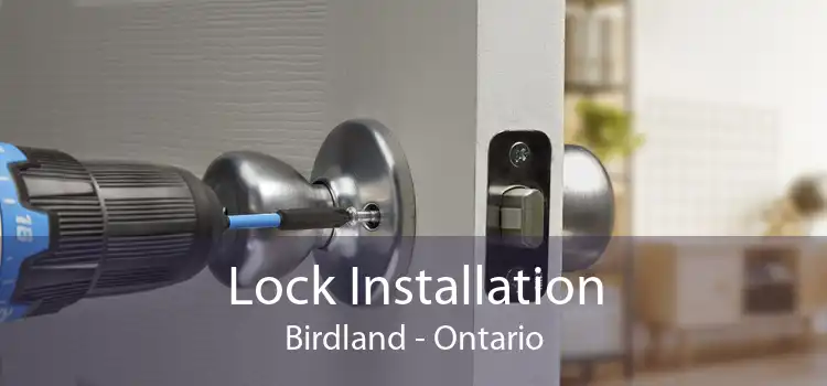 Lock Installation Birdland - Ontario