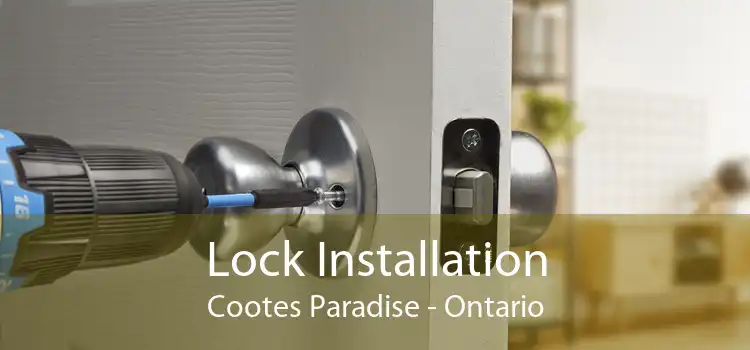 Lock Installation Cootes Paradise - Ontario