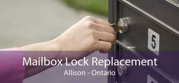 Mailbox Lock Replacement Allison - Ontario