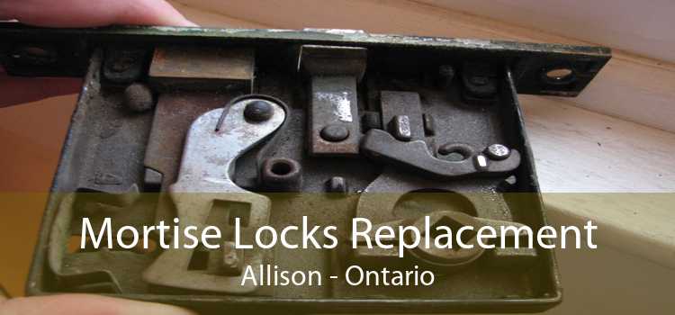 Mortise Locks Replacement Allison - Ontario