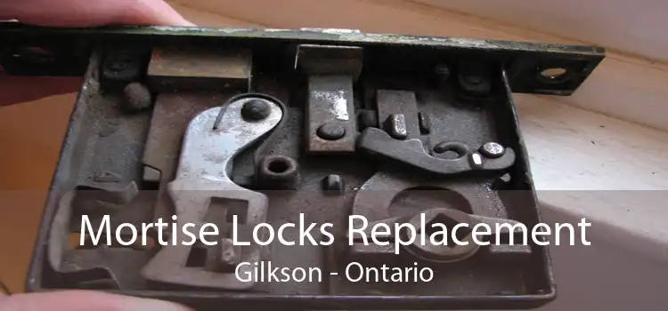 Mortise Locks Replacement Gilkson - Ontario