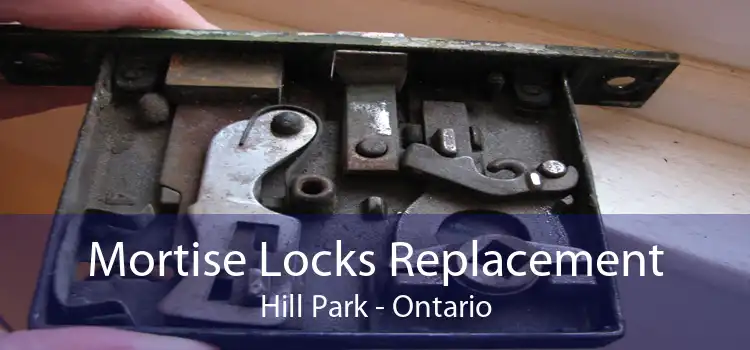 Mortise Locks Replacement Hill Park - Ontario