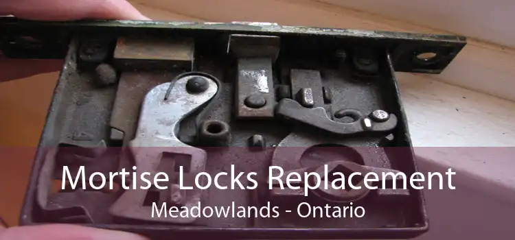 Mortise Locks Replacement Meadowlands - Ontario