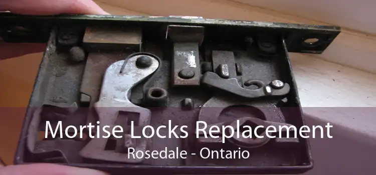 Mortise Locks Replacement Rosedale - Ontario
