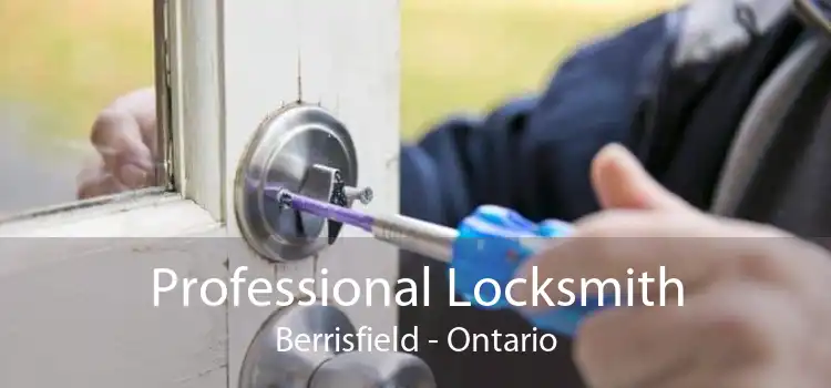 Professional Locksmith Berrisfield - Ontario
