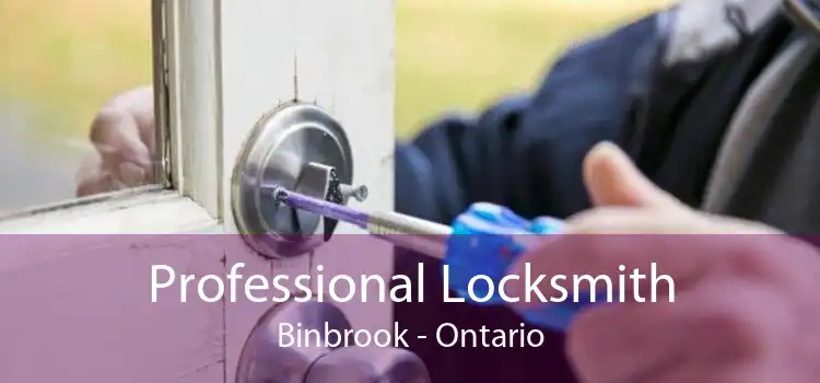 Professional Locksmith Binbrook - Ontario