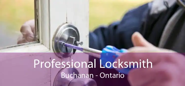 Professional Locksmith Buchanan - Ontario