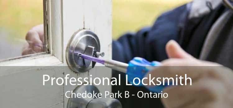 Professional Locksmith Chedoke Park B - Ontario