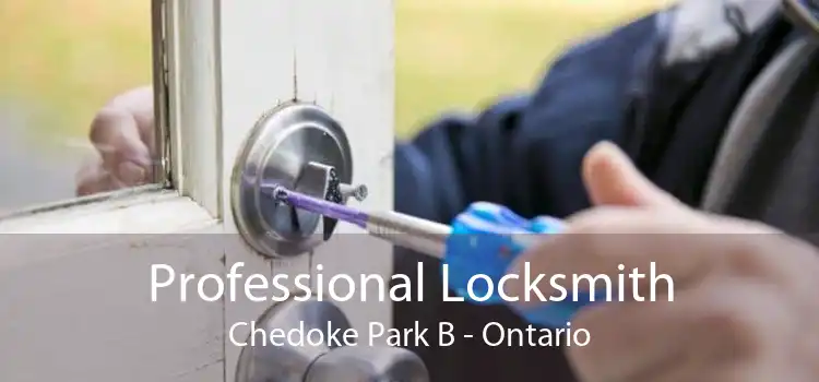 Professional Locksmith Chedoke Park B - Ontario