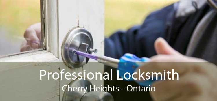 Professional Locksmith Cherry Heights - Ontario