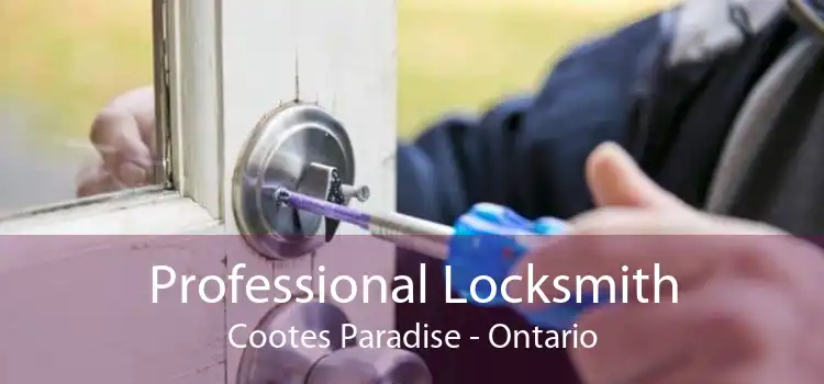 Professional Locksmith Cootes Paradise - Ontario