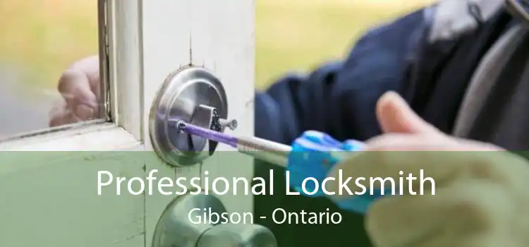 Professional Locksmith Gibson - Ontario