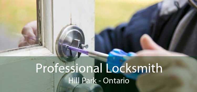 Professional Locksmith Hill Park - Ontario