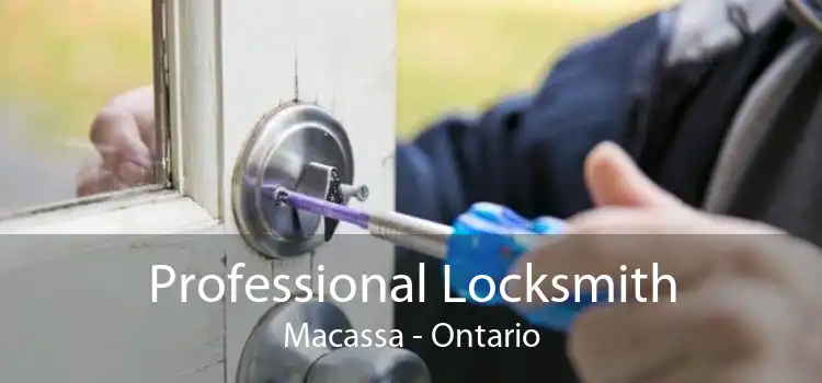 Professional Locksmith Macassa - Ontario