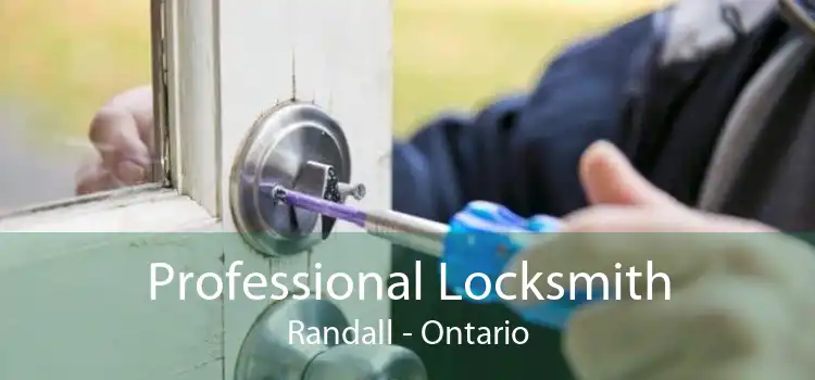 Professional Locksmith Randall - Ontario