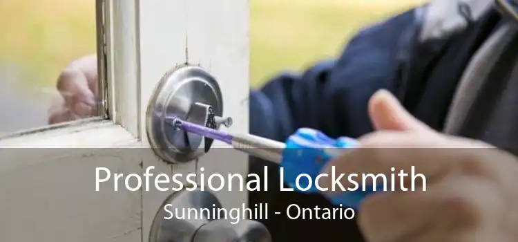 Professional Locksmith Sunninghill - Ontario