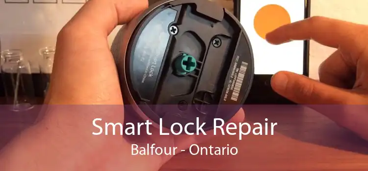 Smart Lock Repair Balfour - Ontario