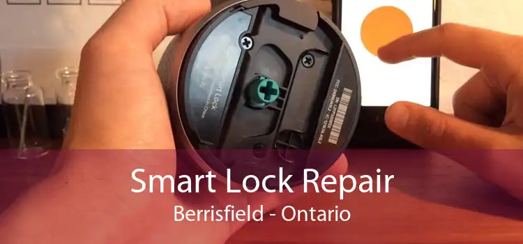 Smart Lock Repair Berrisfield - Ontario